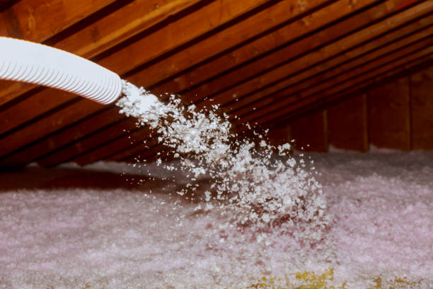 Best Types of Insulation in Alameda, CA