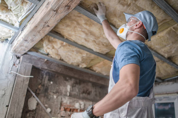 Best Types of Insulation in Alameda, CA