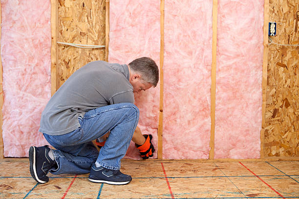 Best Insulation Installation Services in Alameda, CA